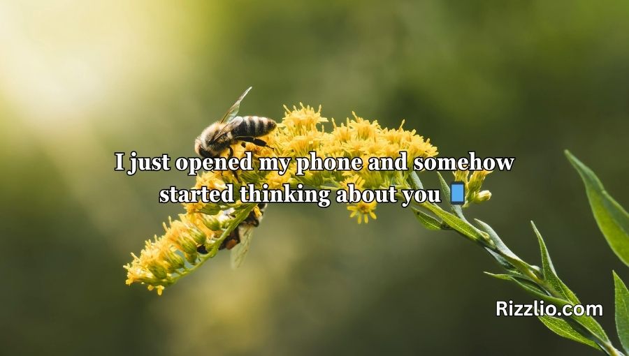 Bumble Bee Pick Up Lines