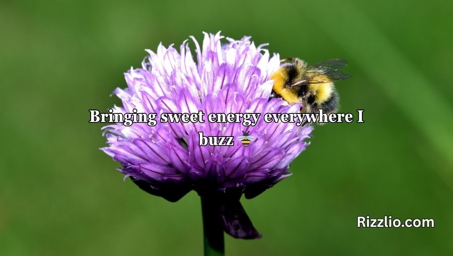Bumble Bee Pick Up Lines