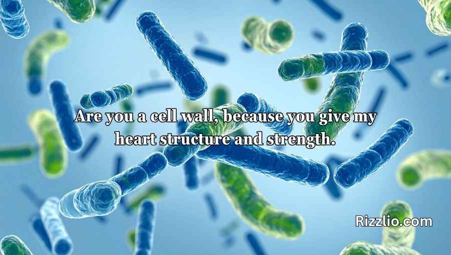 Cell Wall Pick Up Lines