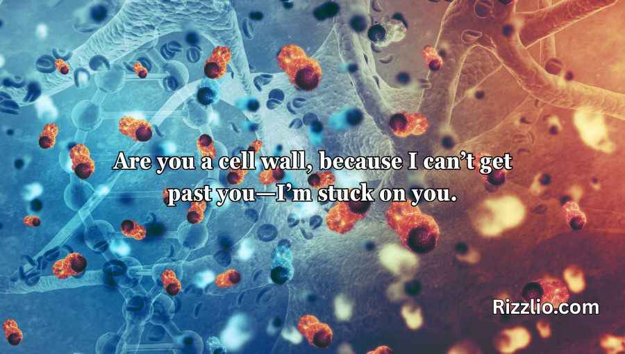 Cell Wall Pick Up Lines