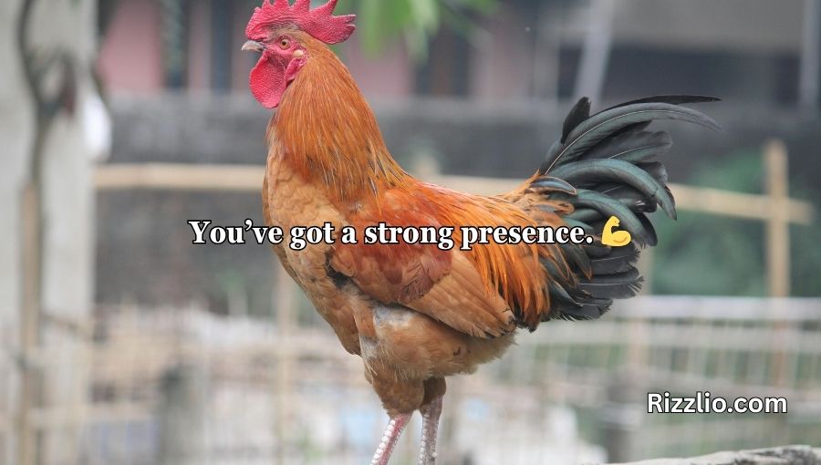 Chicken Pick Up Lines