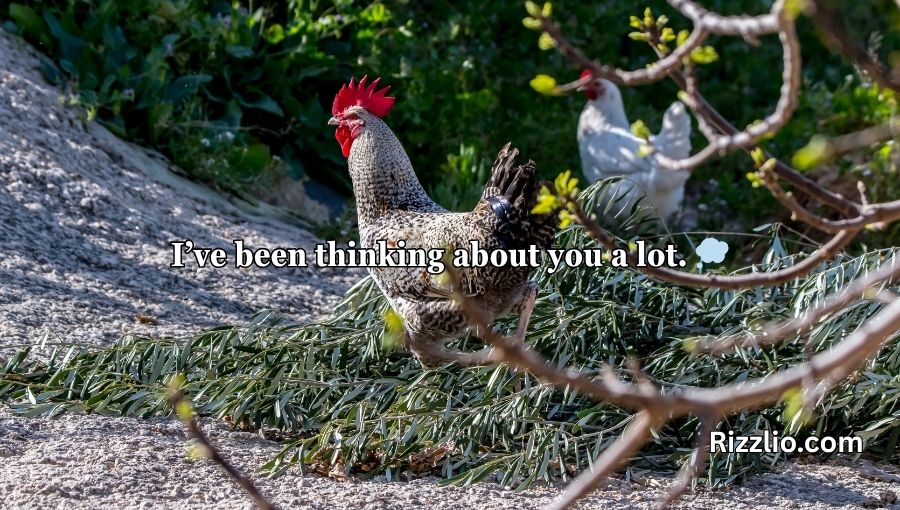 Chicken Pick Up Lines