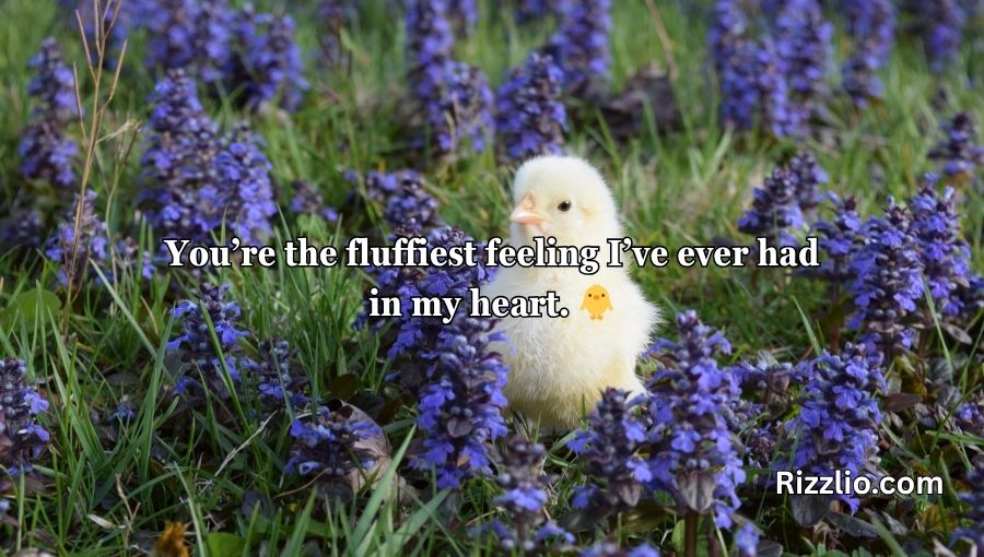 Chicken Pick Up Lines