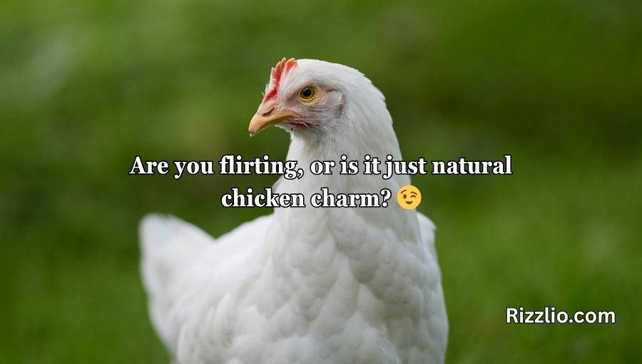 Chicken Pick Up Lines