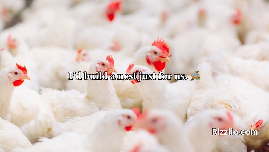 Chicken Pick Up Lines