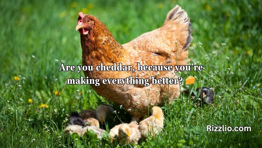 Chicken Pick Up Lines