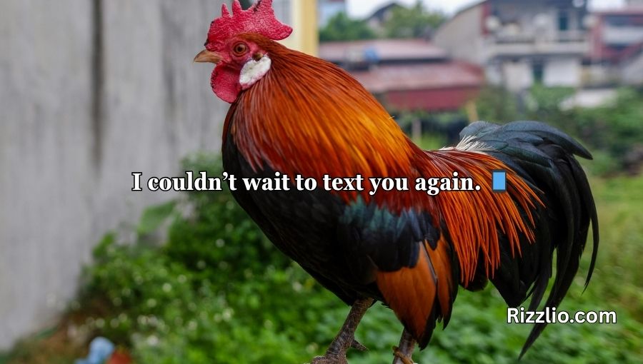 Chicken Pick Up Lines