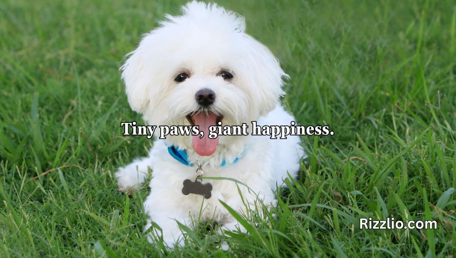 Dog Puns