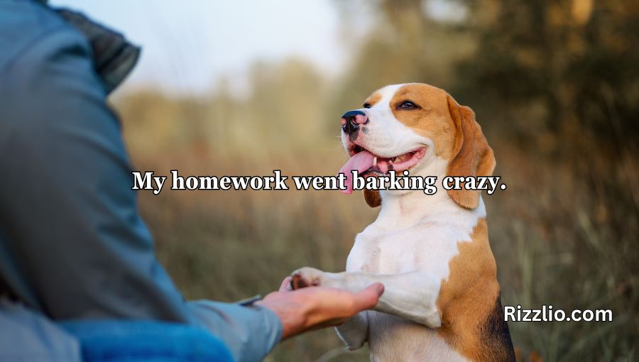 Dog Puns
