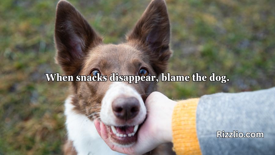 Dog Puns