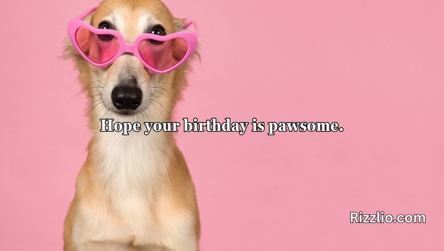 Dog Puns