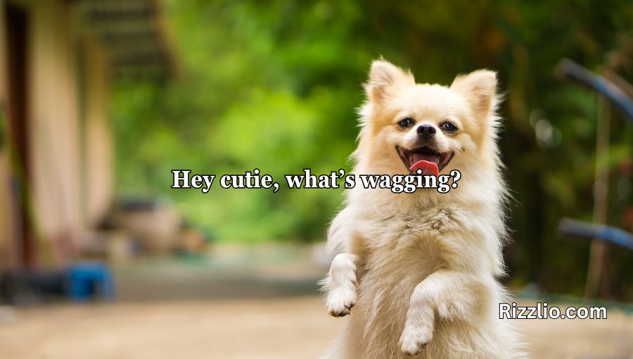 Dog Puns