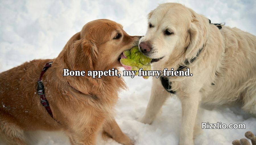 Dog Puns