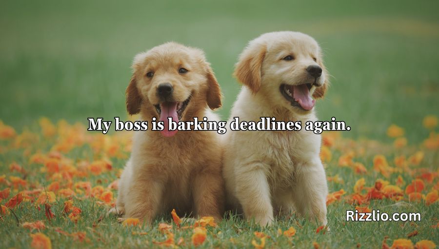Dog Puns