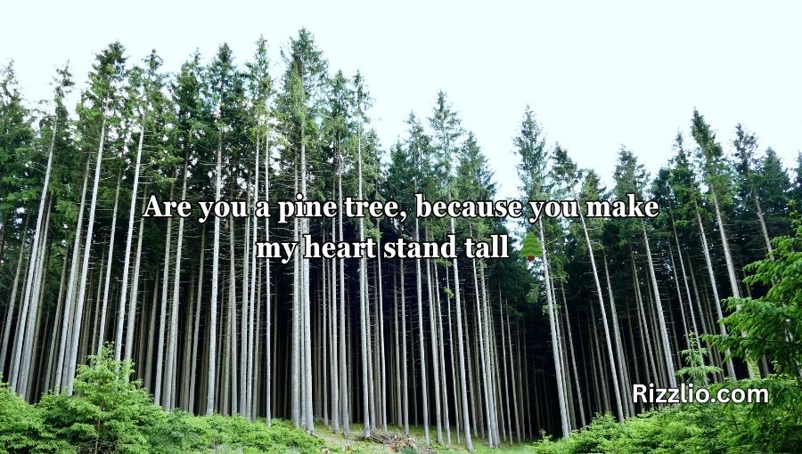 Forestry Pick Up Lines