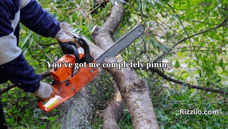 Forestry Pick Up Lines