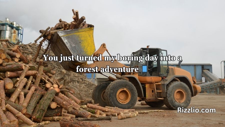 Forestry Pick Up Lines
