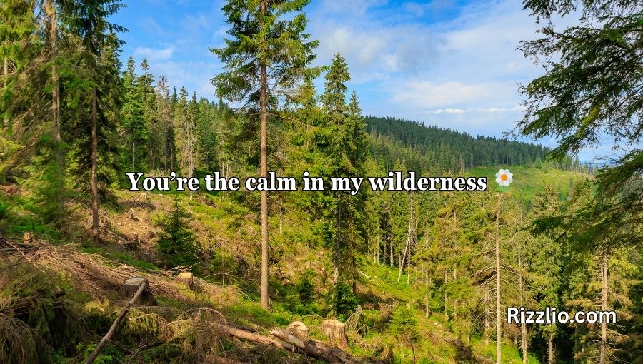 Forestry Pick Up Lines