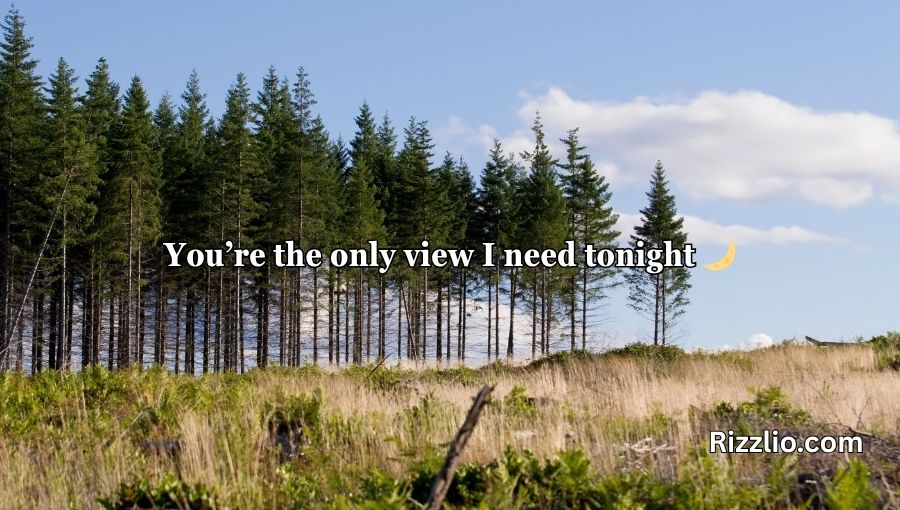 Forestry Pick Up Lines