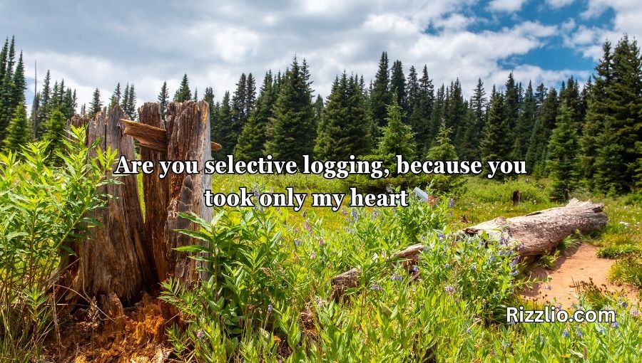 Forestry Pick Up Lines
