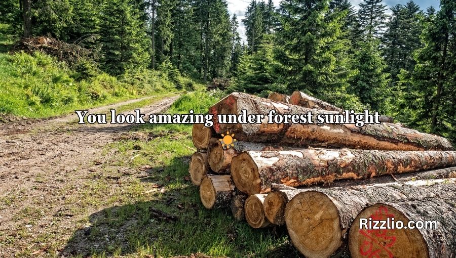 Forestry Pick Up Lines