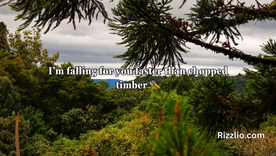 Forestry Pick Up Lines