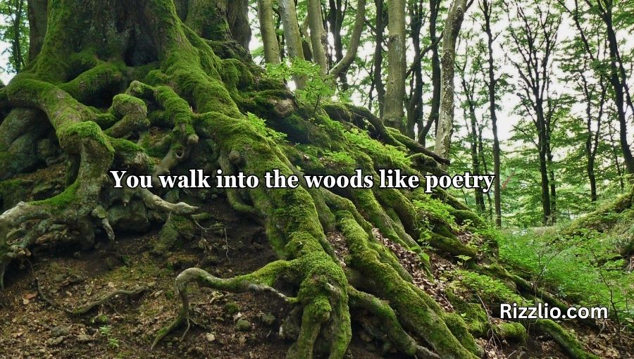 Forestry Pick Up Lines