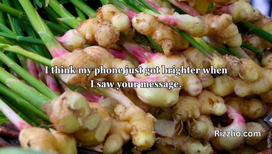 Ginger Pick Up Lines