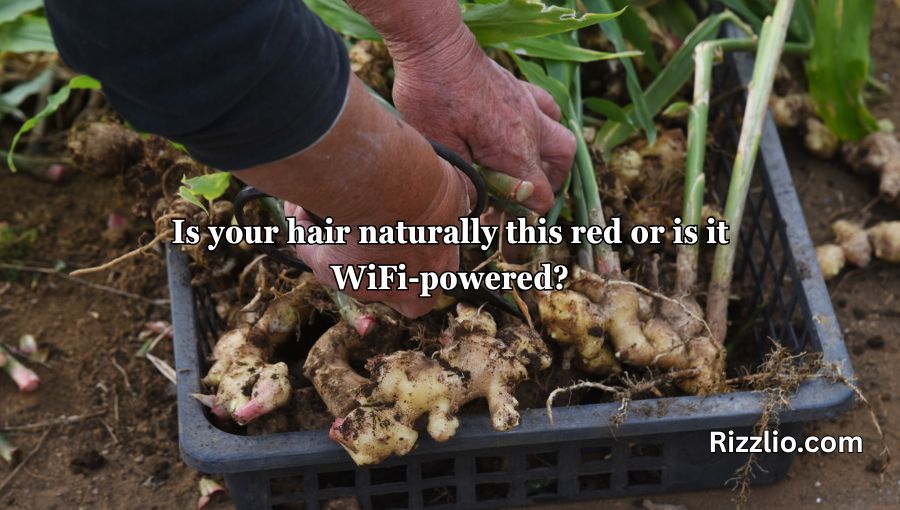 Ginger Pick Up Lines