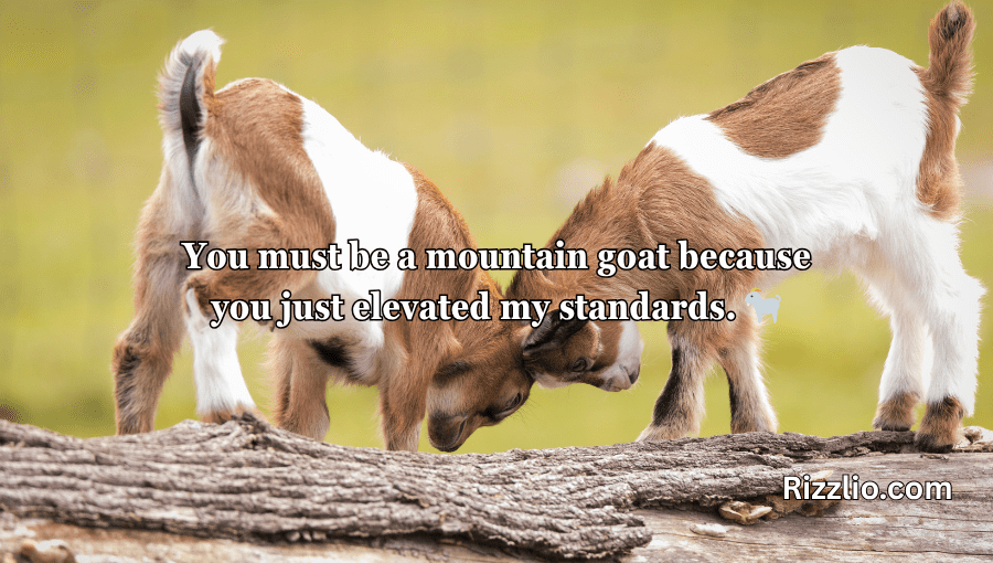 goat puns