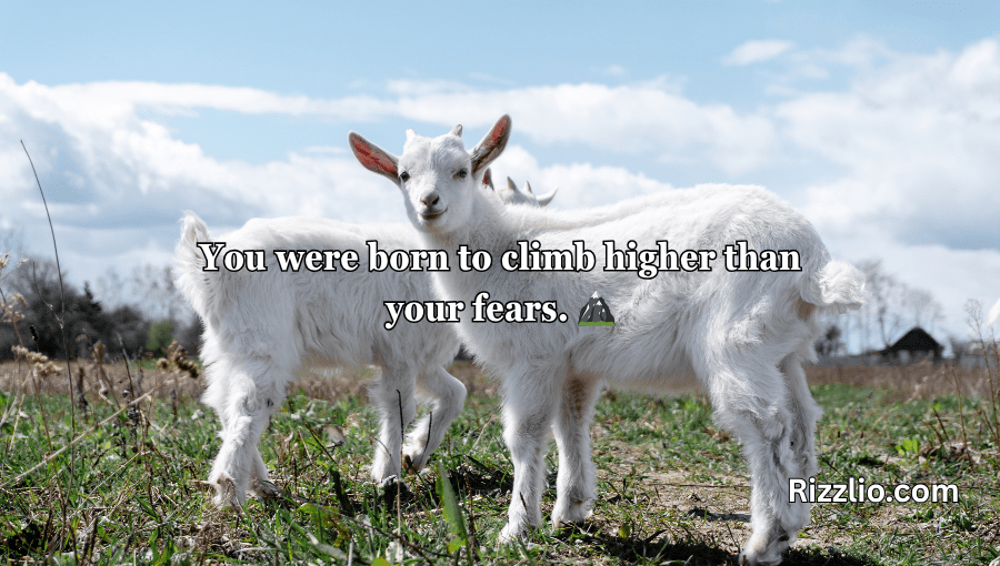 goat puns