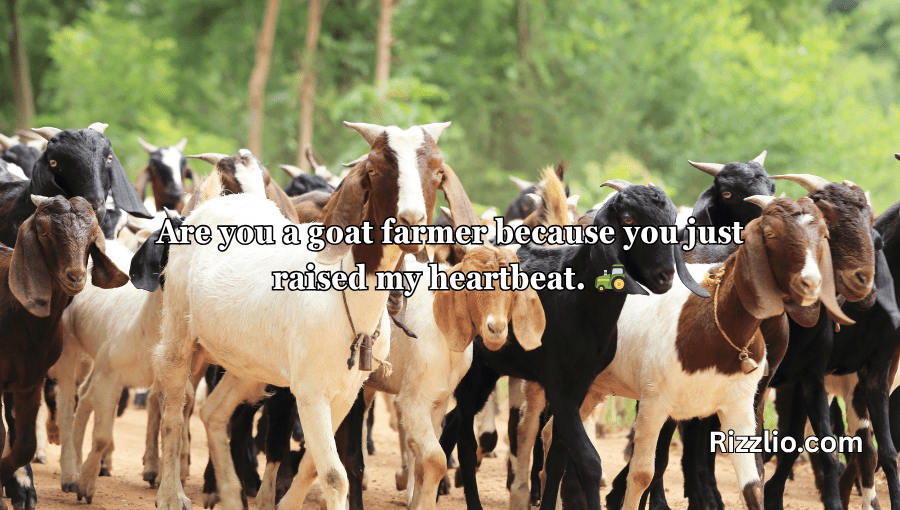 goat puns