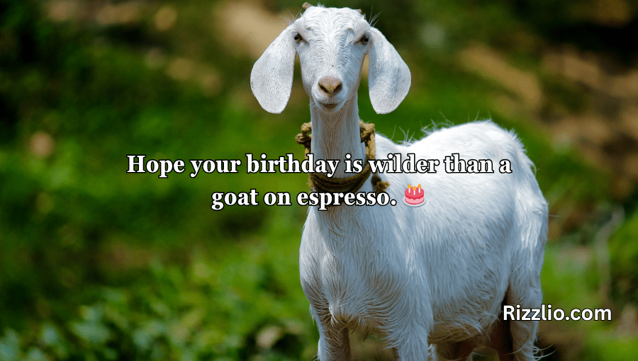 goat puns