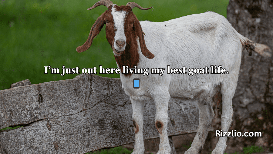 goat puns