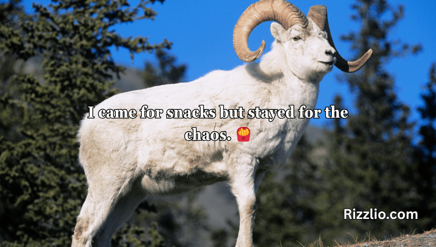goat puns