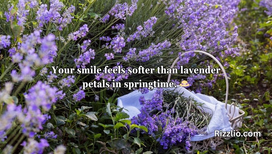 Lavender Pick Up Lines