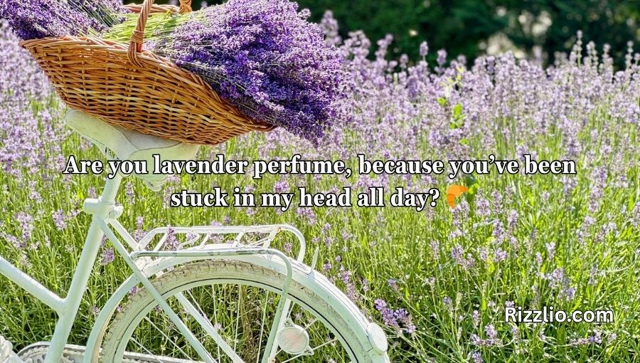 Lavender Pick Up Lines