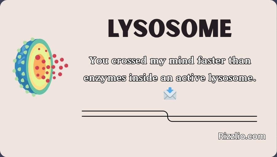 Lysosome Pick Up Lines