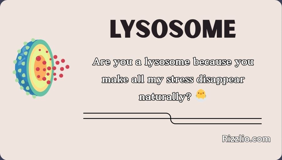 Lysosome Pick Up Lines
