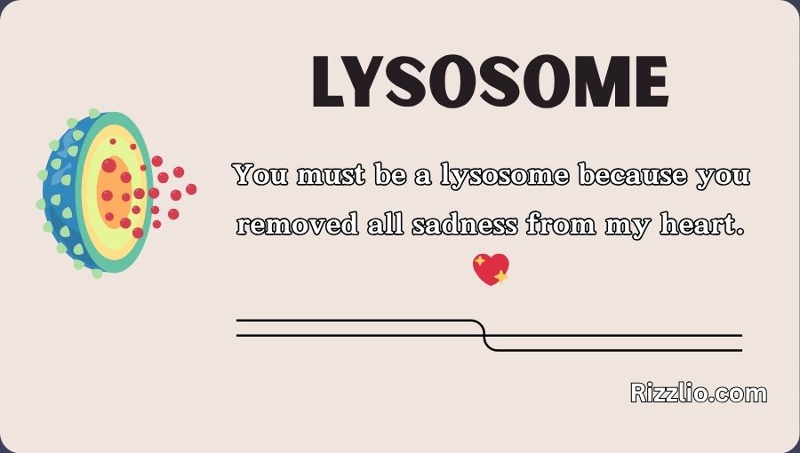 Lysosome Pick Up Lines