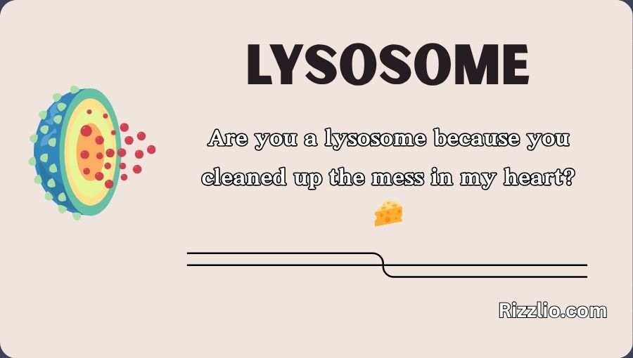 Lysosome Pick Up Lines