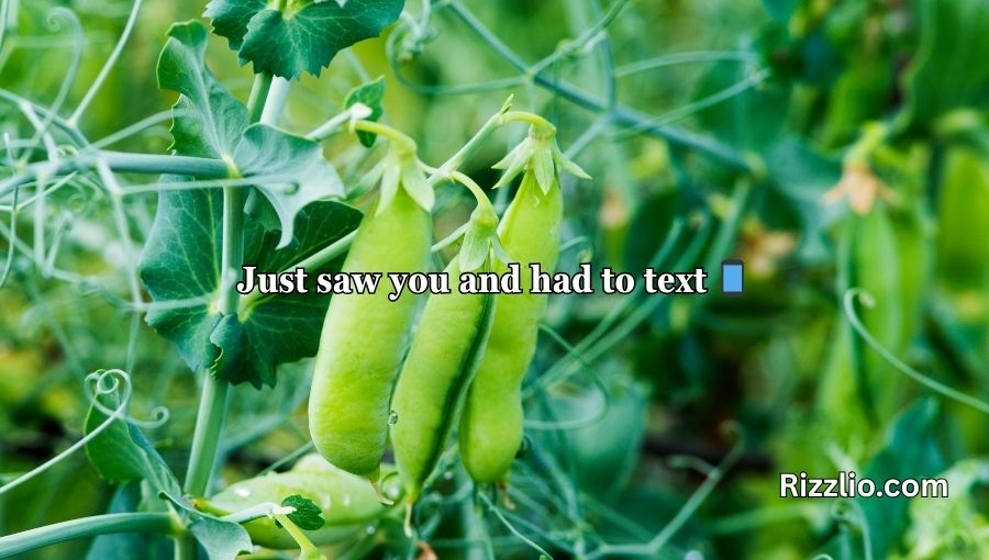 Pea Pickup Lines