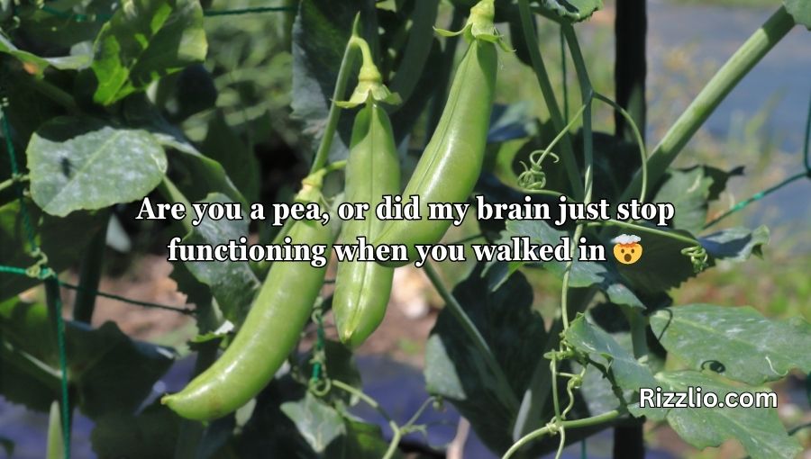 Pea Pickup Lines
