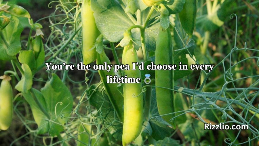 Pea Pickup Lines