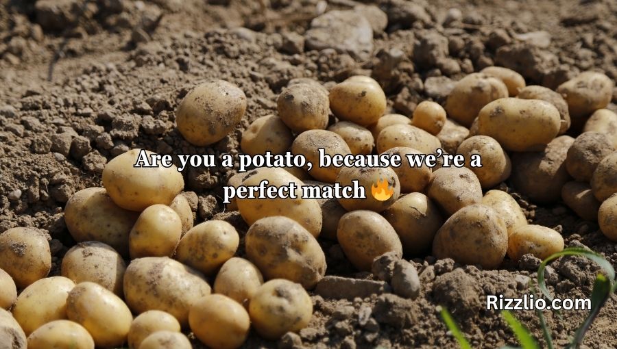 Potato Pick Up Lines