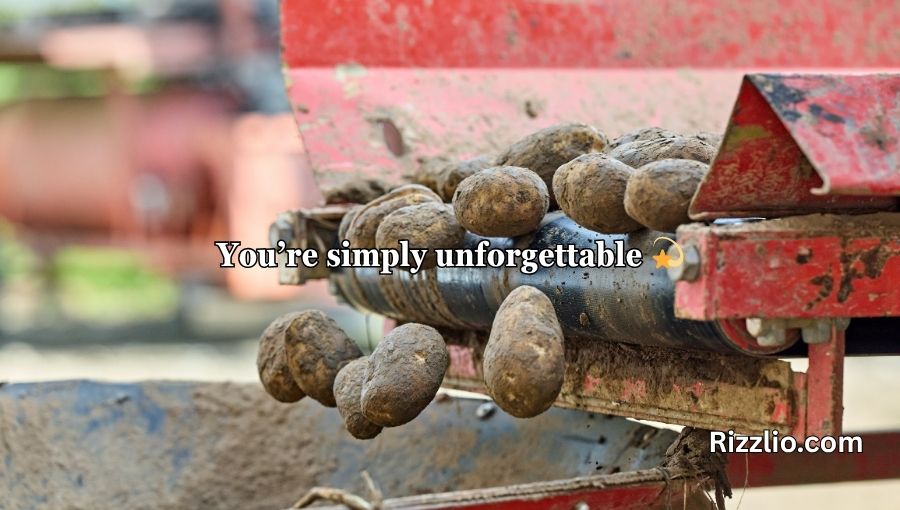 Potato Pick Up Lines