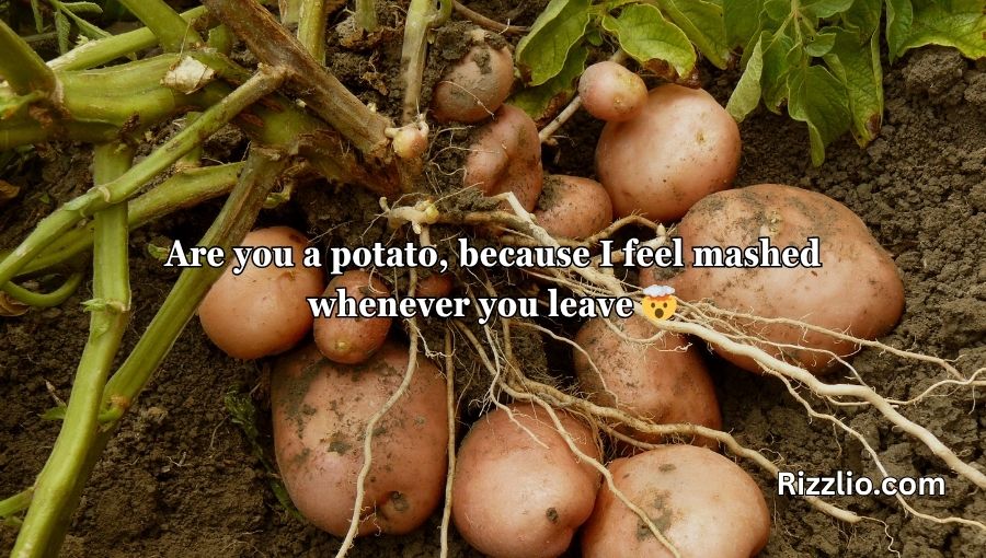 Potato Pick Up Lines