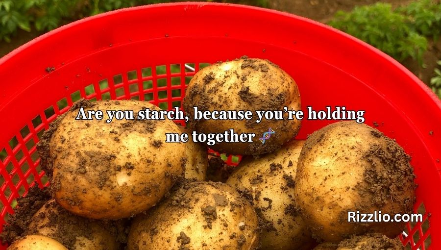 Potato Pick Up Lines