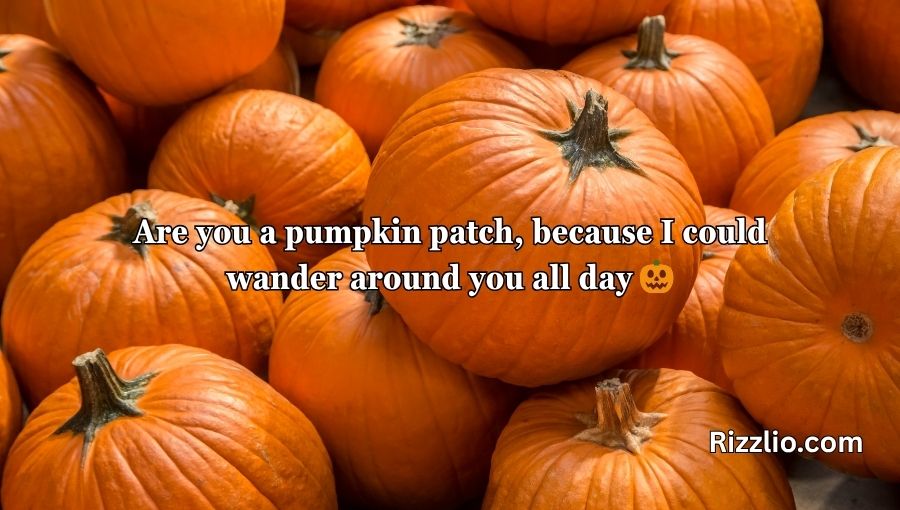 Pumpkin Pick Up Lines
