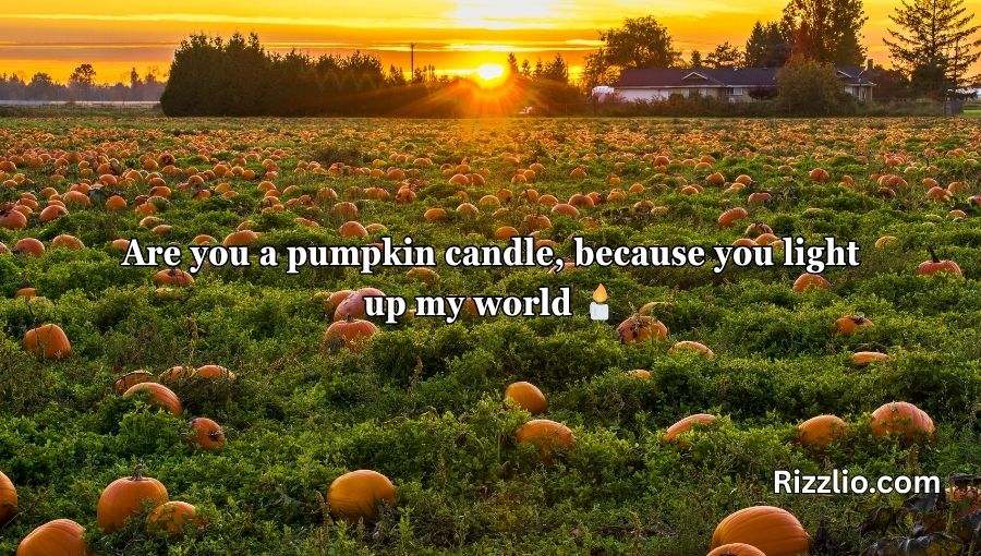 Pumpkin Pick Up Lines